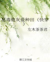 恶毒炮灰爱种田快穿宝书