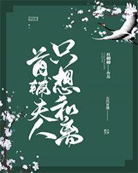 首辅夫人只想和离书评