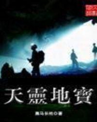 天灵地宝全本TXT