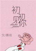 初见你人群中独自美丽张信哲