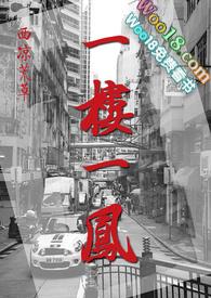 一楼一凤讲的什么