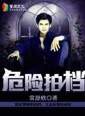 危险拍档全集