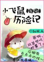小飞鼠科技有限公司