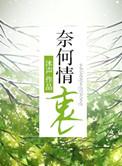 奈何情衷沐声讲的什么