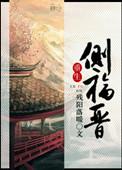 重生之侧福晋逆命全文免费