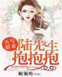 陆先生的第一甜心