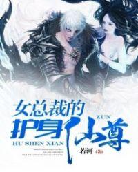 女总裁的护身高手txt全集