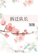 拆迁队长什么样