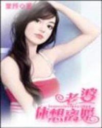 老婆休想离婚全文阅读