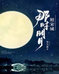 那时明月照宋城未删减