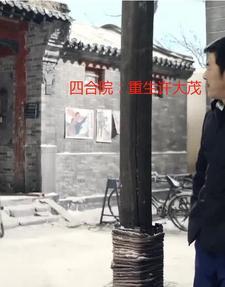 四合院重生许大茂动漫