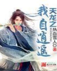 天龙之我意纵横