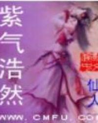 成语紫气什么什么