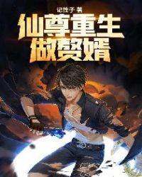 仙尊赘婿免费