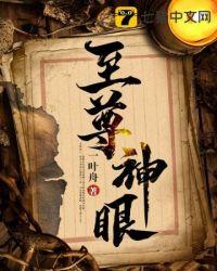 至尊神眼动漫