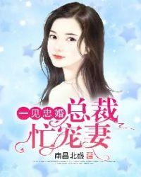 一见总裁误终身免费阅读