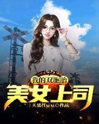 我的美女双胞胎总裁老婆