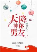 天降神婿是什么