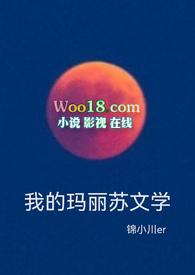 我的玛丽苏之旅