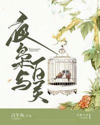 夜枭是什么人物