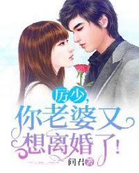 历少你老婆又想离婚了txt