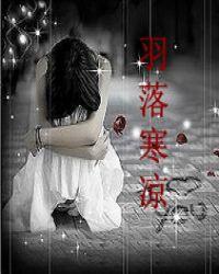 羽落这首歌什么意思