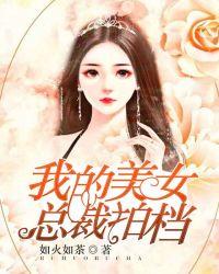 我的美女总裁电视剧
