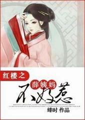 红楼之薛姨妈不好惹TXT