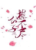 公子总是不对劲