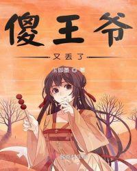 傻王爷撞上傻妃全文免费阅读全文