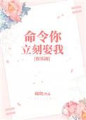 命令你的意思