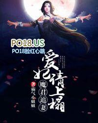 魔君追妻指南