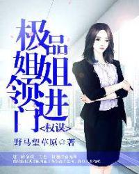 我的极品姐姐领进门