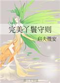 完美丫鬟守则类似文