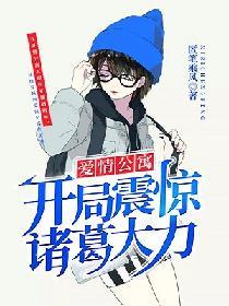 爱情公寓之开局诸葛大力向我求婚
