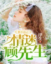 婚不由己顾先生持证上岗