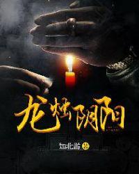 龙烛阴阳续集在线阅读