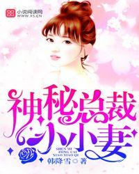 神秘总裁小小妻笔趣阁