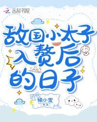 敌国小太子入赘后的日子百度