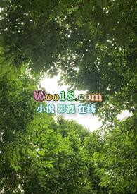 青衿志薛镜观