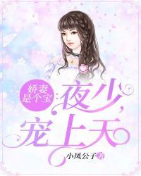 夜少娇宠神医娇妻太撩人