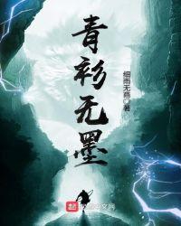 淡墨青衫意思