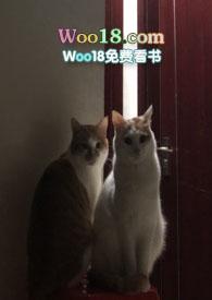 催化裂化装置