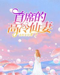 首席总裁高冷娇妻