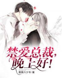 禁忌总裁晚上好