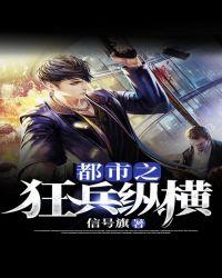 2都市之最强狂兵