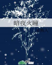暗夜与黎明火吗
