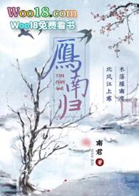 王小双雁南归
