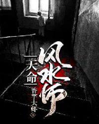 天命风水师陈启林免费阅读