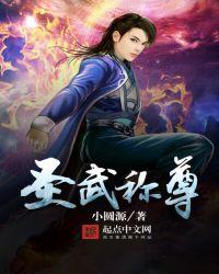 圣武称尊修炼等级